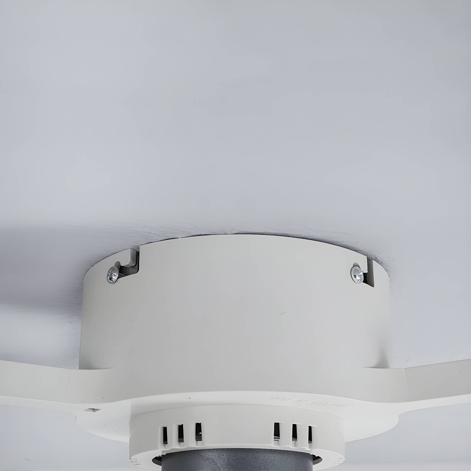 Imported image aabd3e94b000 3225055.jpg