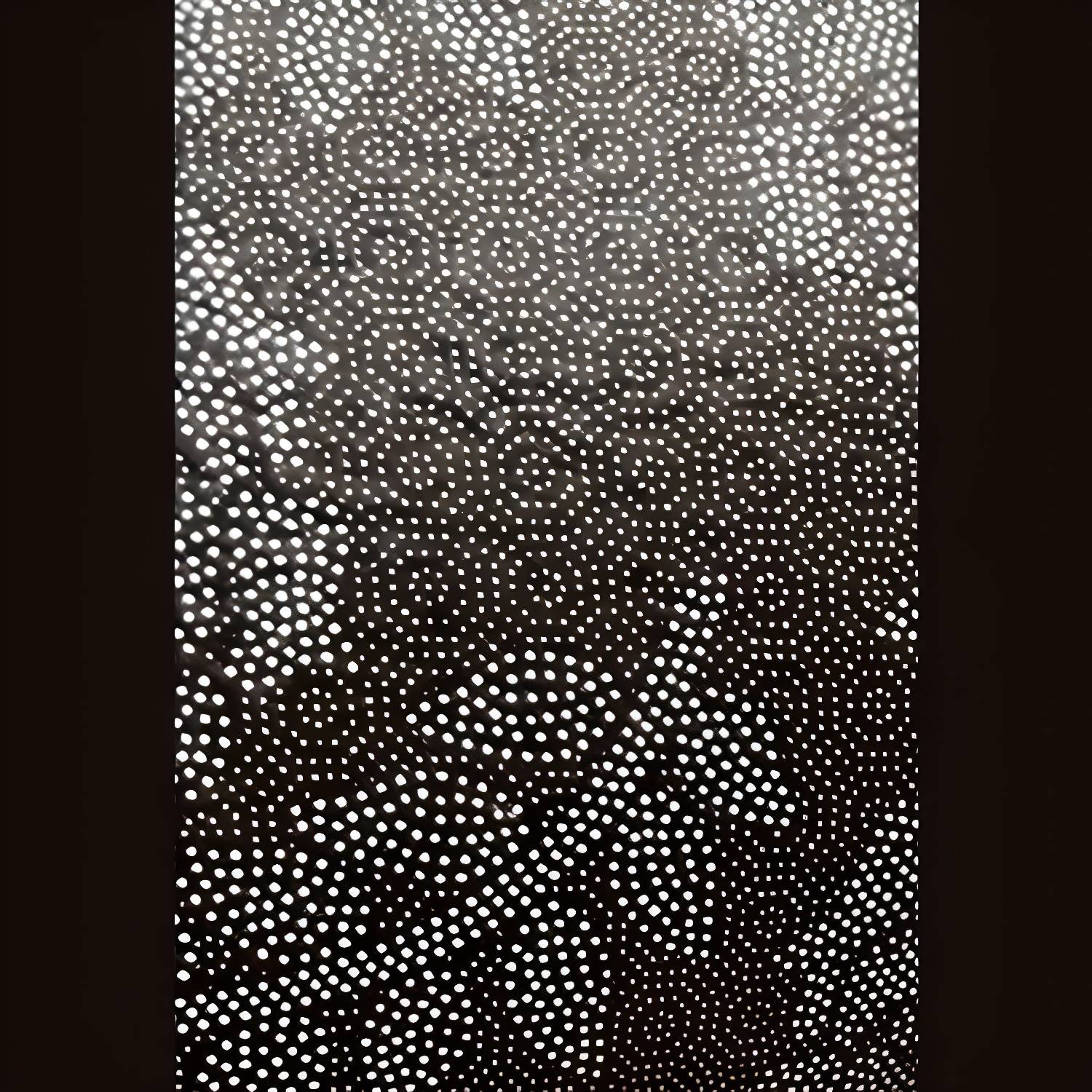 Imported image c6879f1bc23b 3243648.jpg