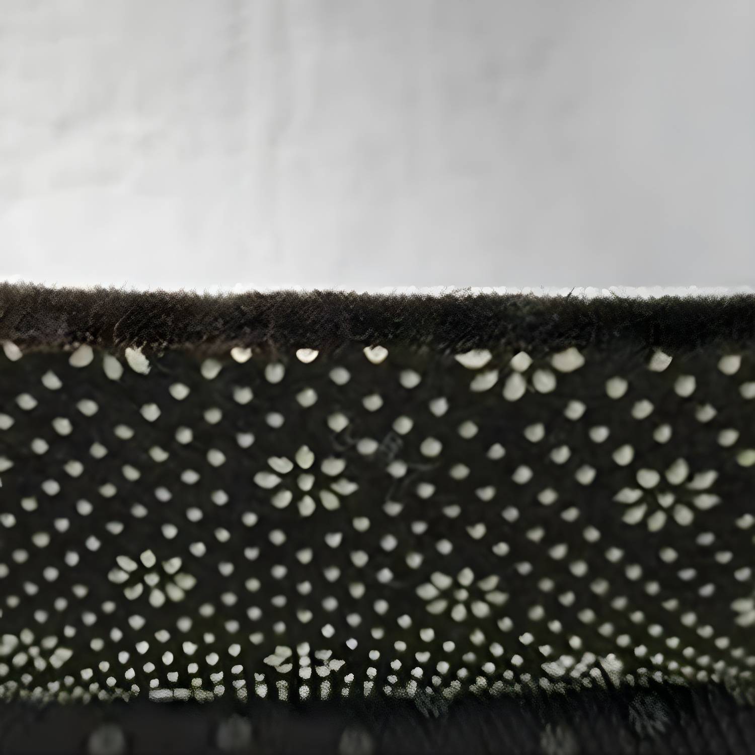 Imported image 43cab35b8c74 3244017.jpg