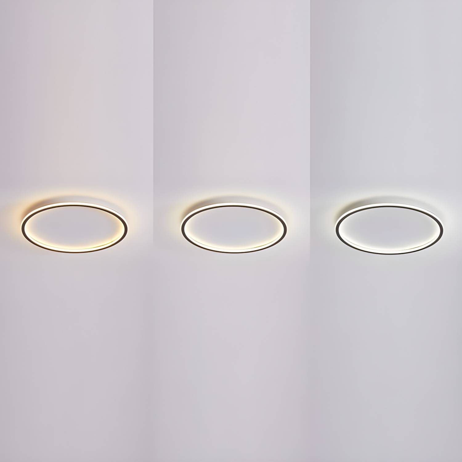 Imported image d4e3e6b8e173 3252585.jpg