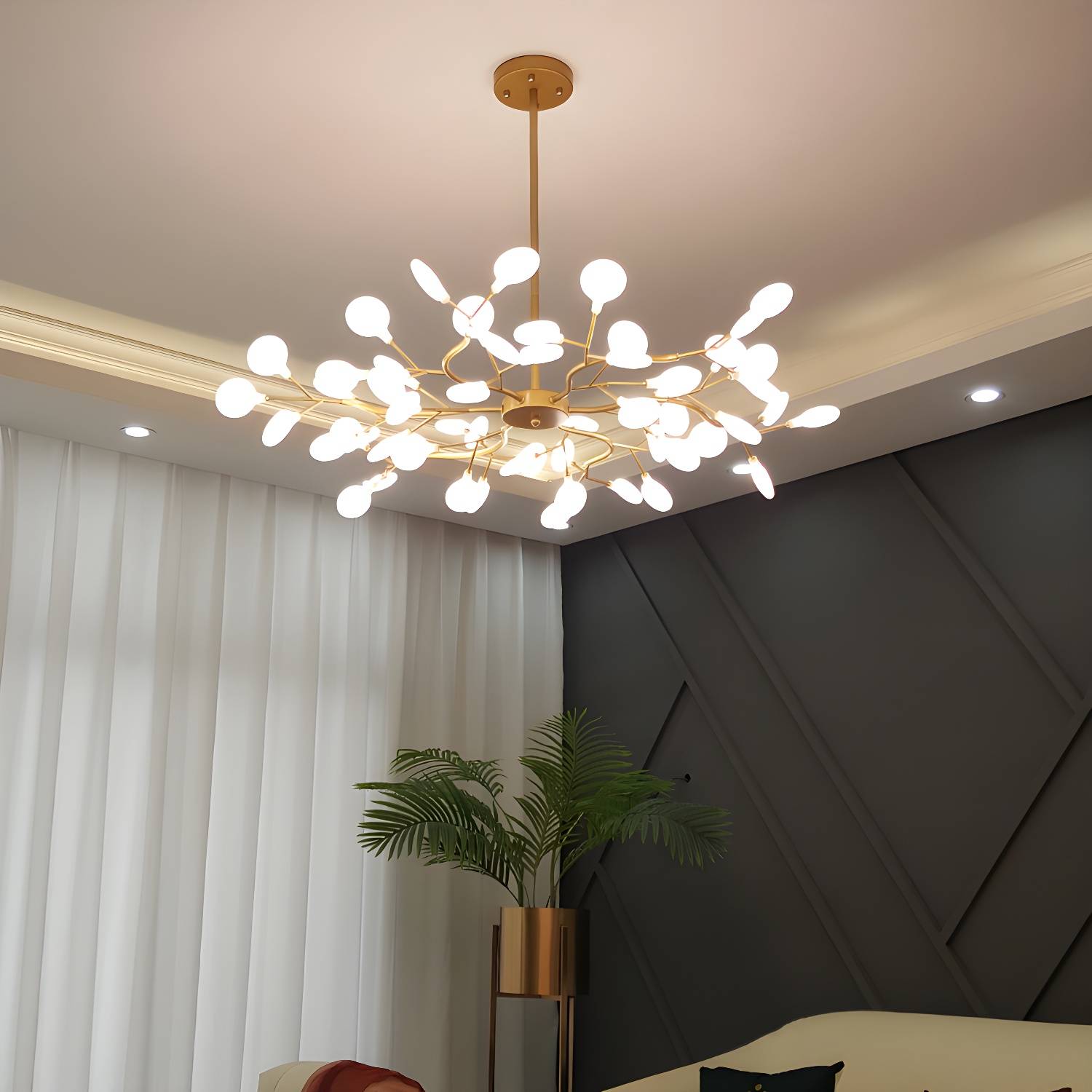 Imported image d50fe77b3afd 3252673.jpg