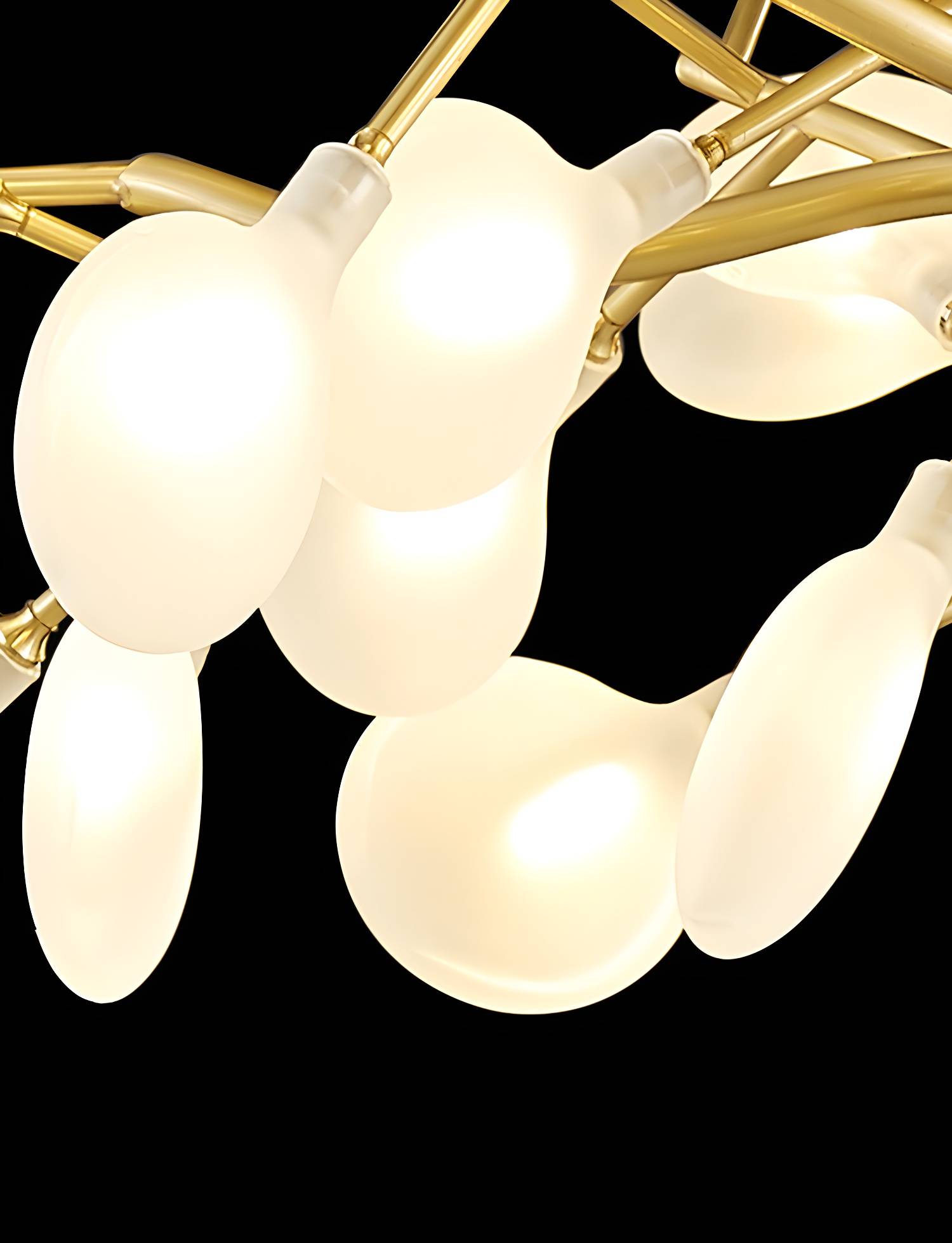 Imported image 50abb174ff0e 3252685.jpg