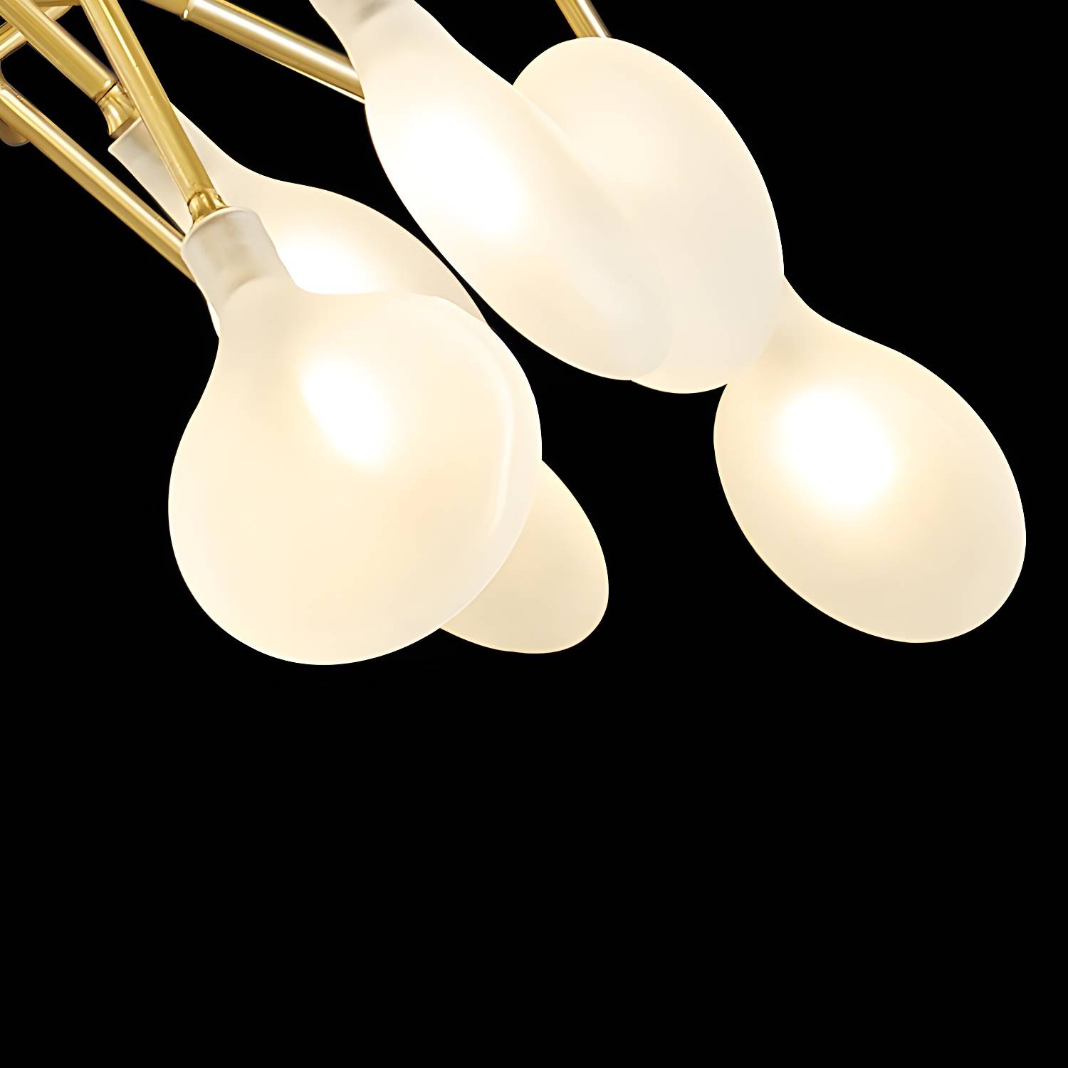 Imported image 1732e354a593 3252686.jpg