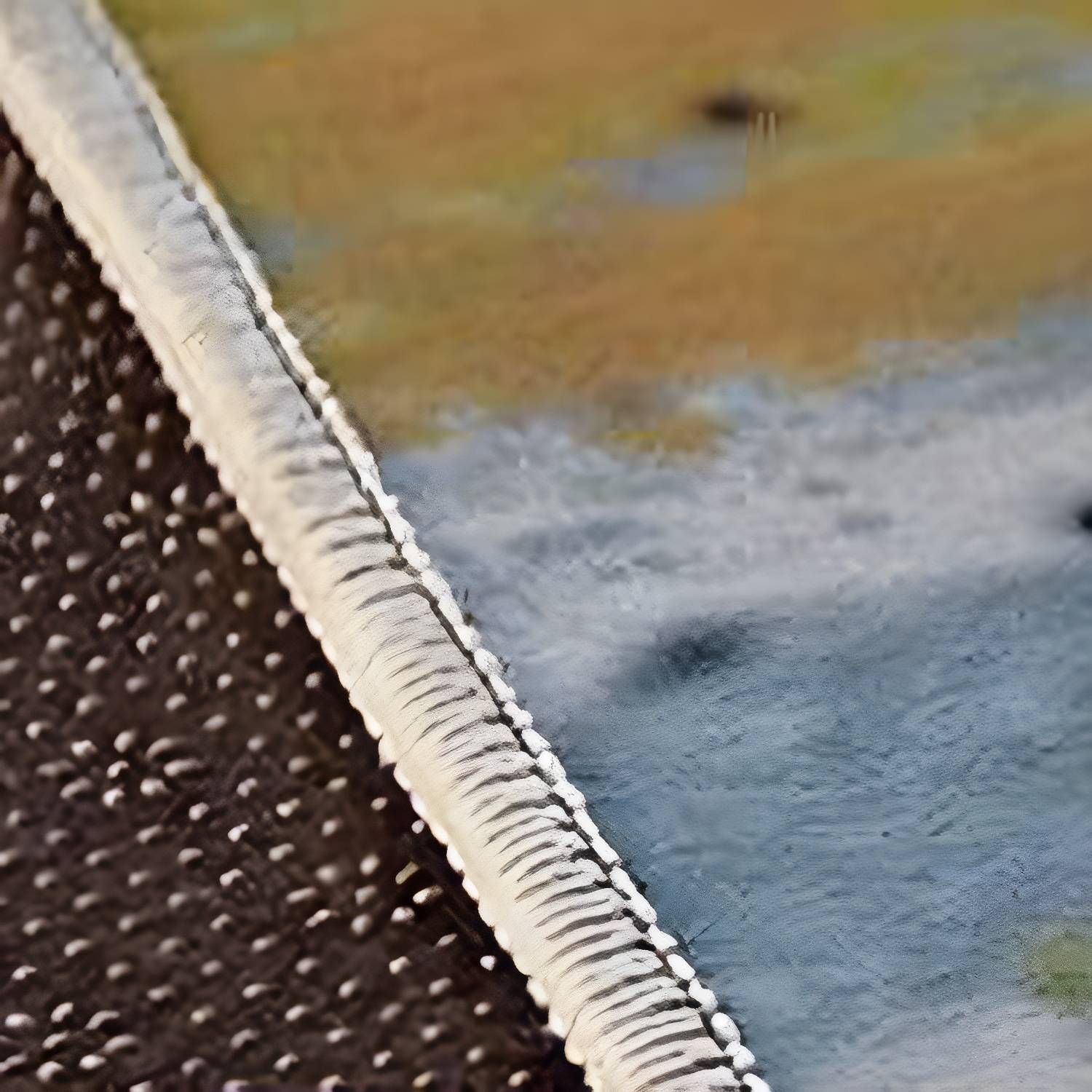 Imported image b859affe4561 3253350.jpg