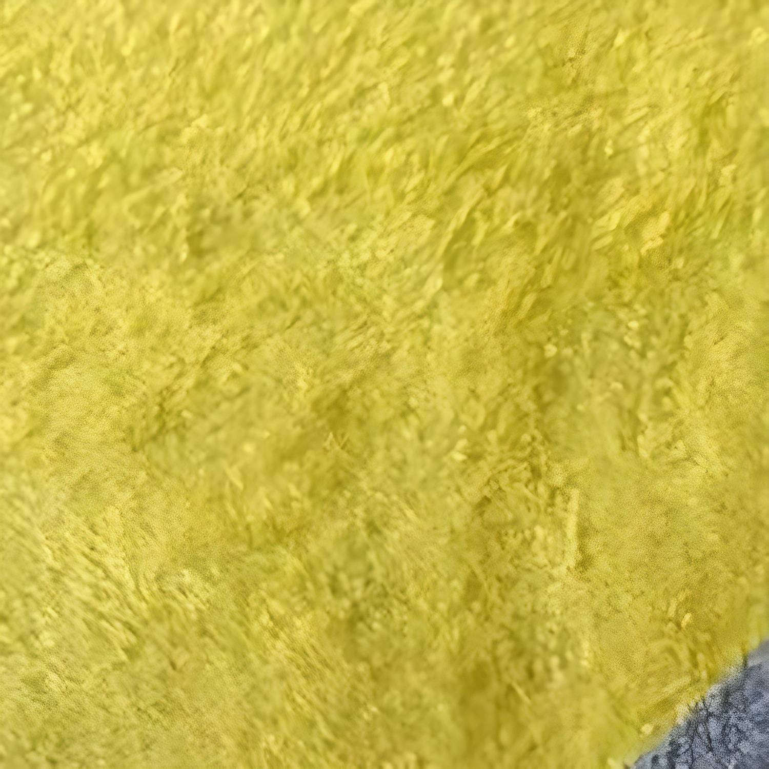 Imported image 514aa1772717 3253608.jpg