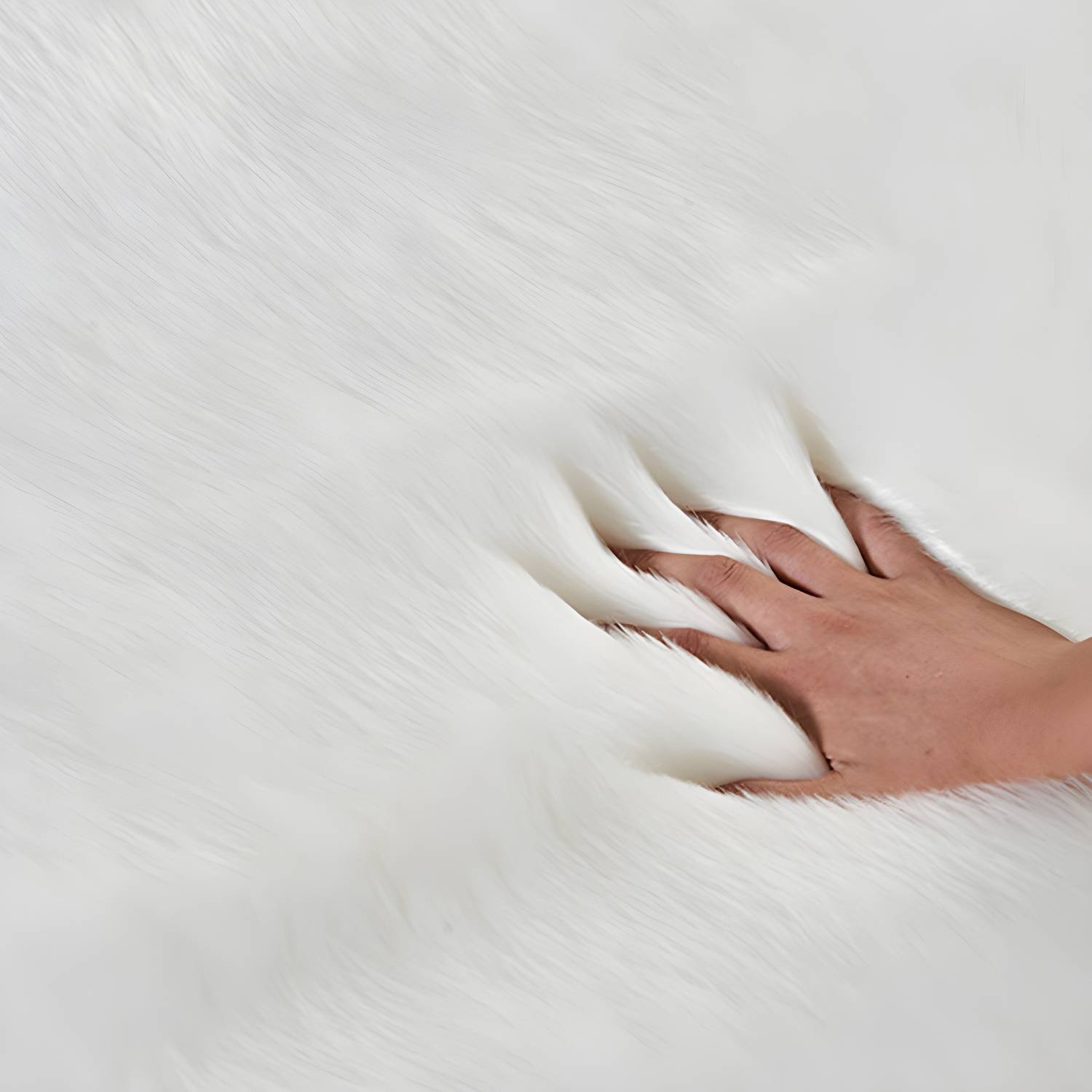 Imported image 69f183a672a5 3254446.jpg