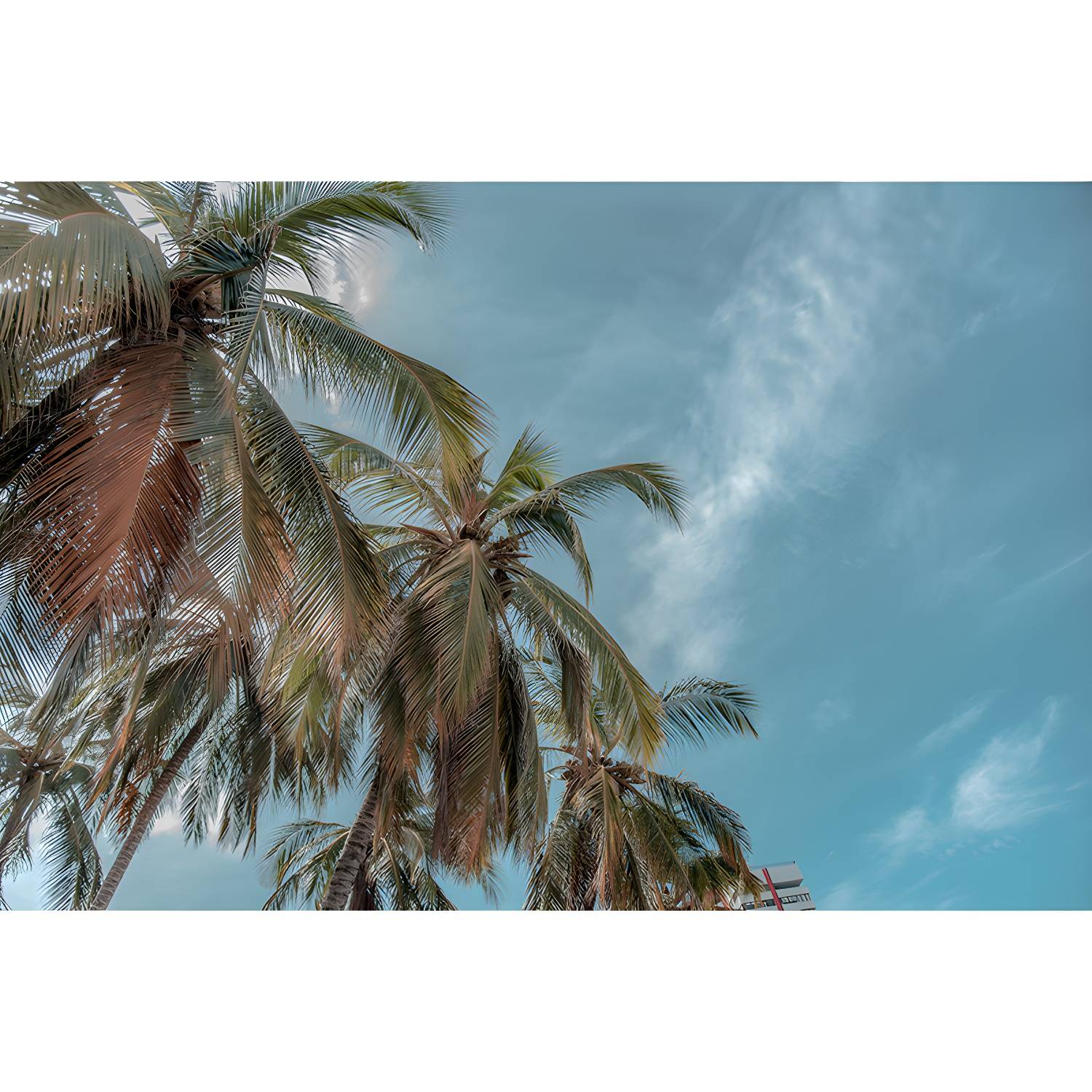 Imported image b85d93fae5bb 3258580.jpg