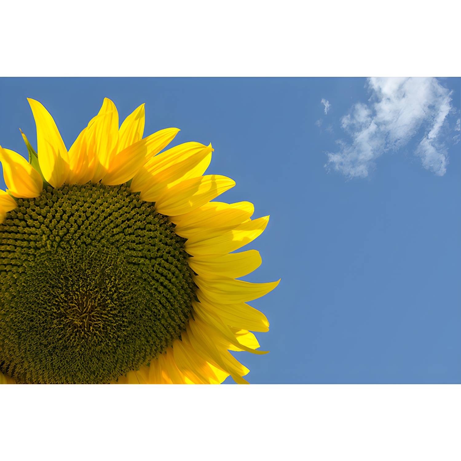 Imported image d480e0547368 3258706.jpg