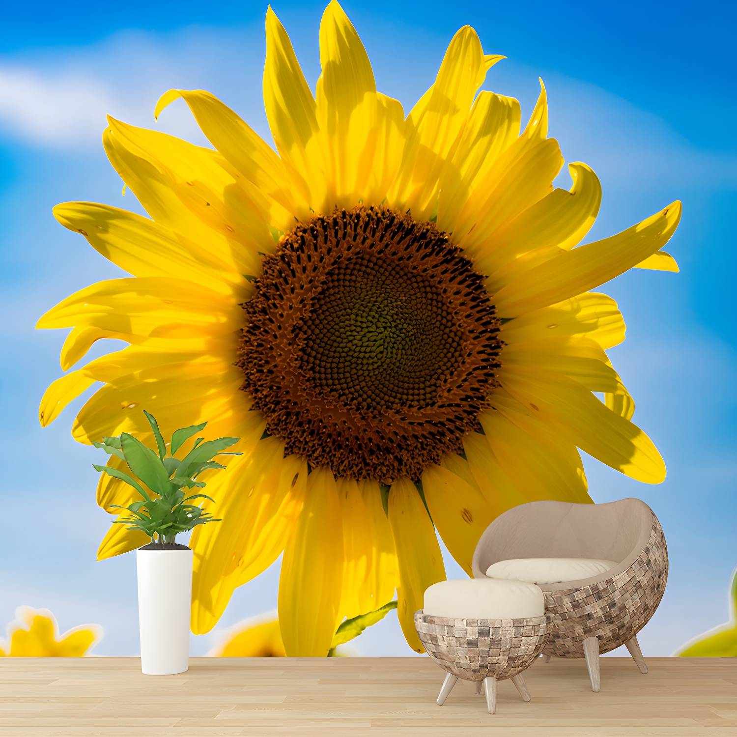 Imported image 6acabb0e98bb 3258711.jpg