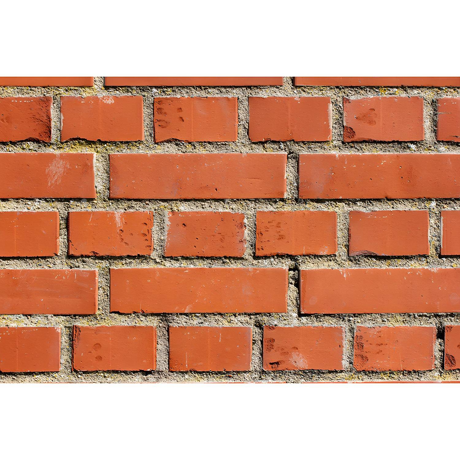 Imported image de4d92104c26 3258912.jpg