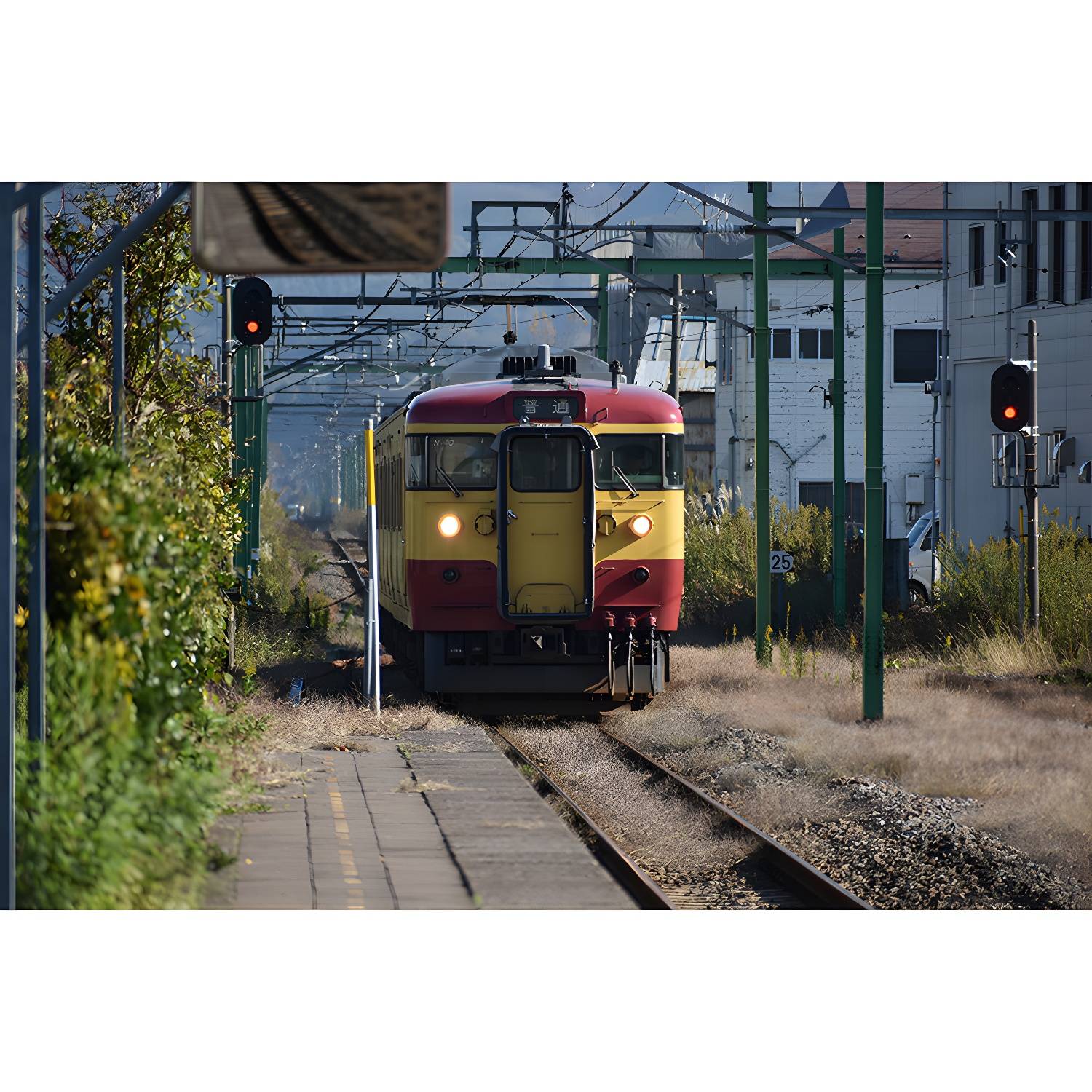 Imported image f5dce85b6ace 3259006.jpg