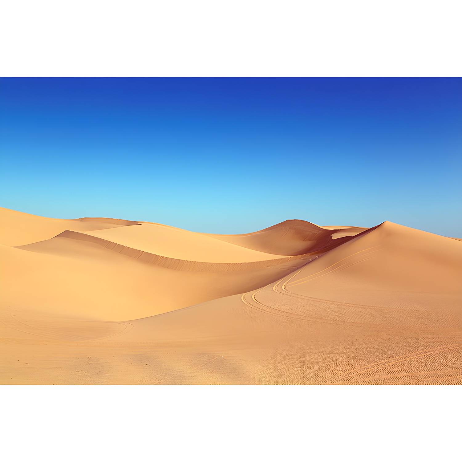 Imported image 898cfd9bb865 3259066.jpg