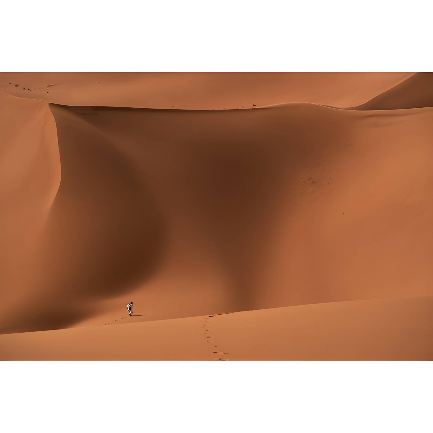 Imported image ca25b8348fba 3259074.jpg
