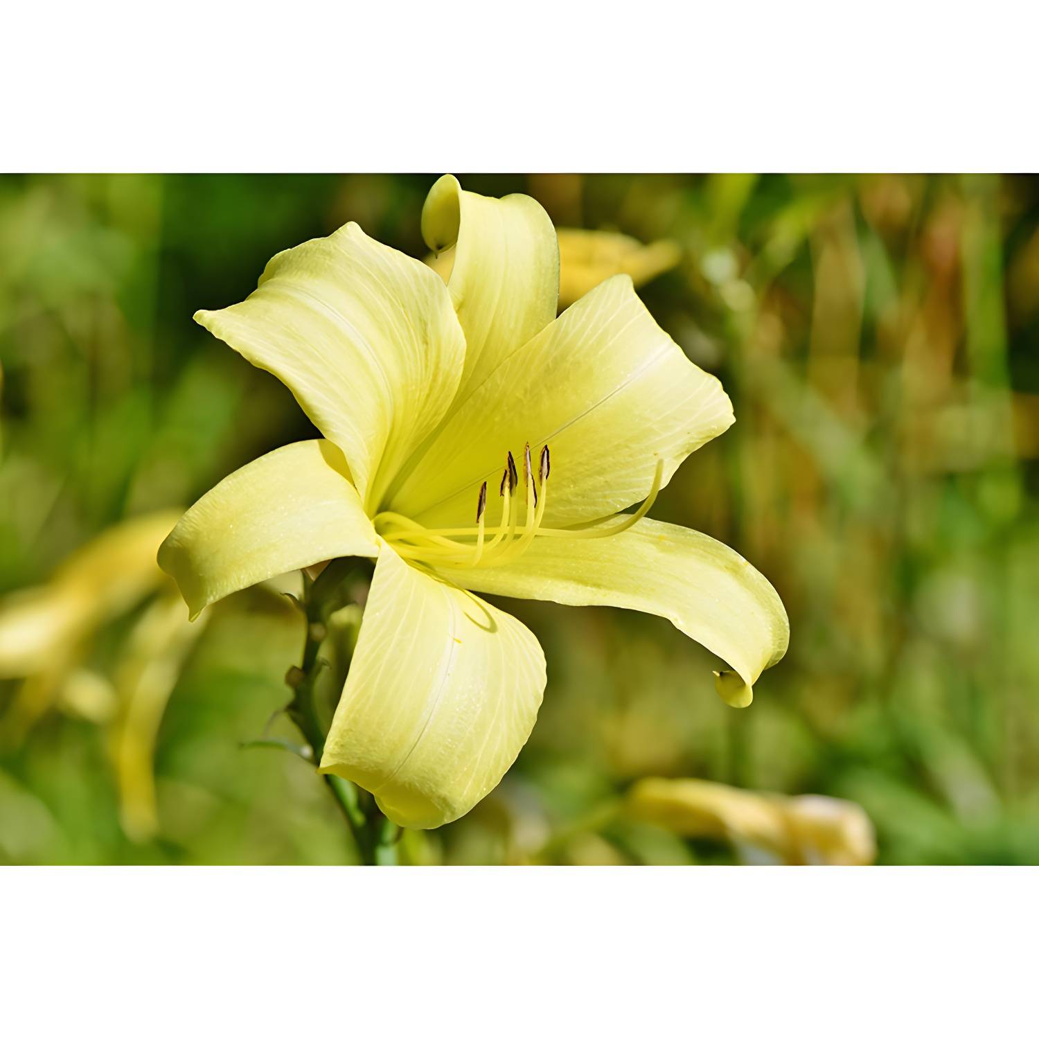 Imported image 6b3eb90ec10b 3259138.jpg