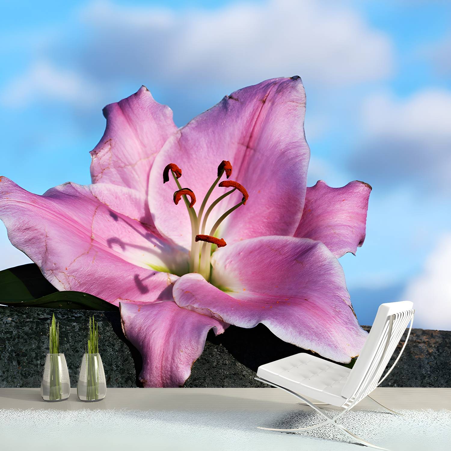 Imported image a21ecba27d15 3259145.jpg