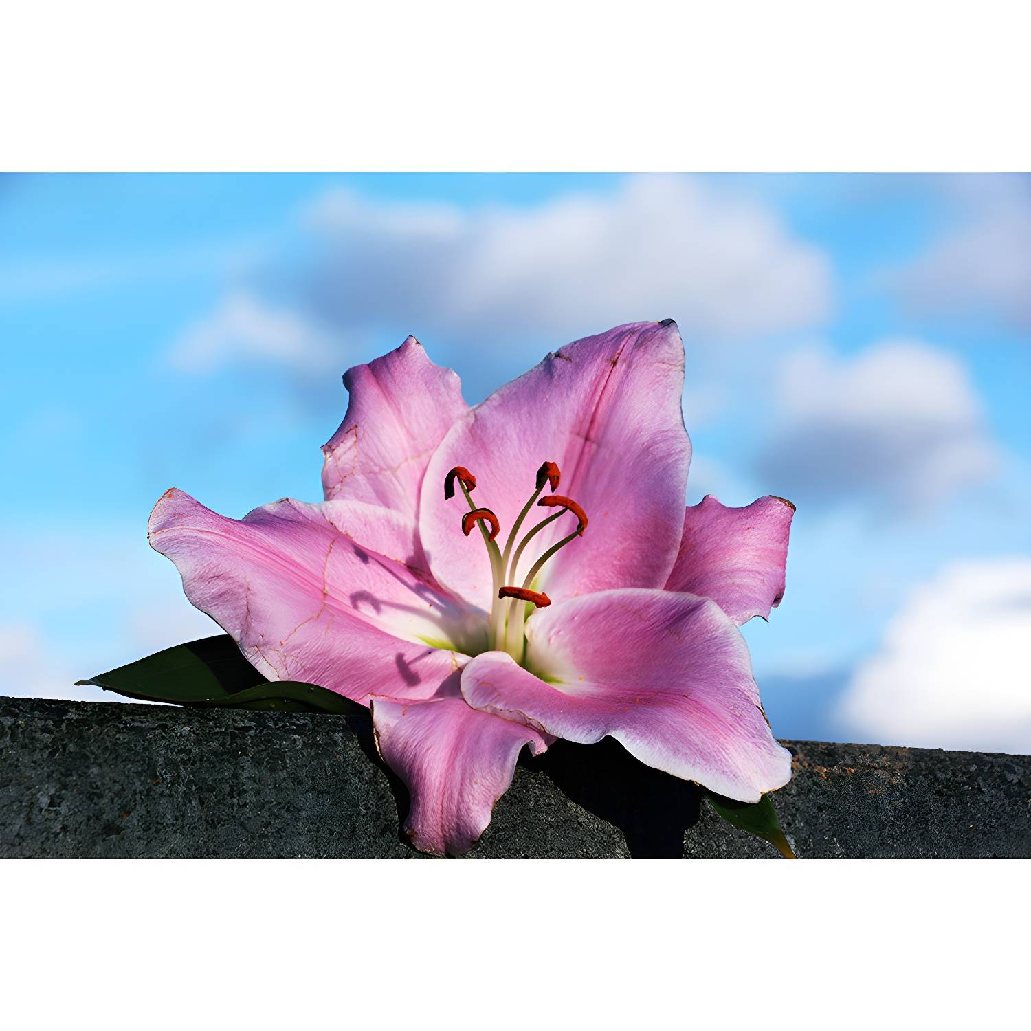 Imported image ef9adeabe8f9 3259146.jpg