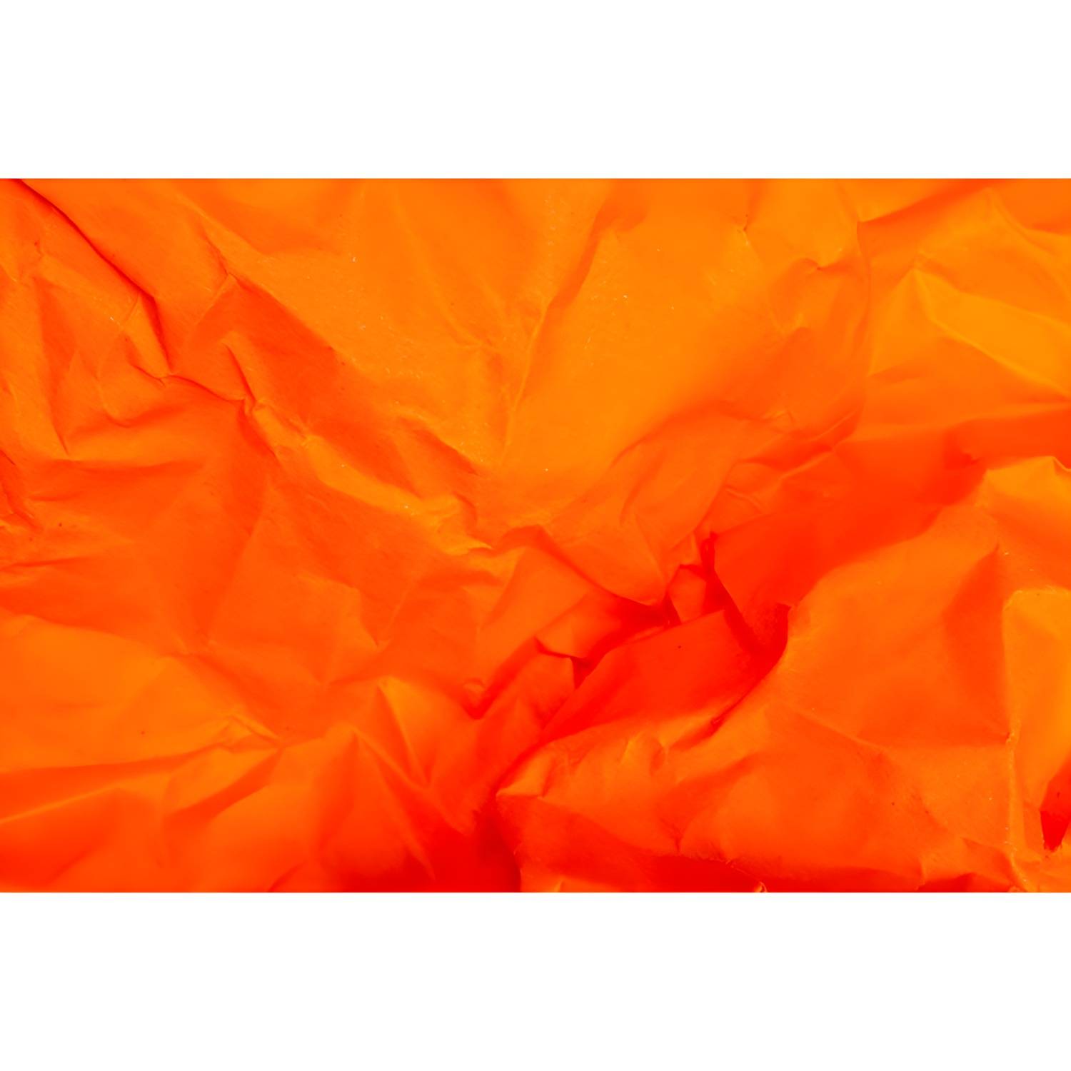 Imported image 12bc773dfa41 3259232.jpg