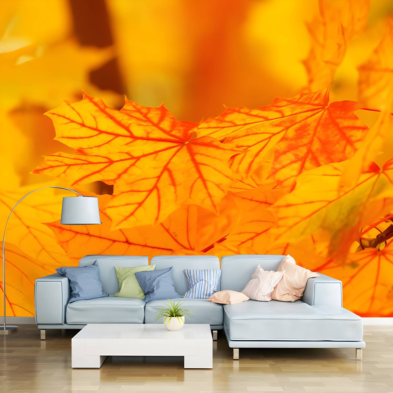 Imported image aed4328d5fae 3259473.jpg