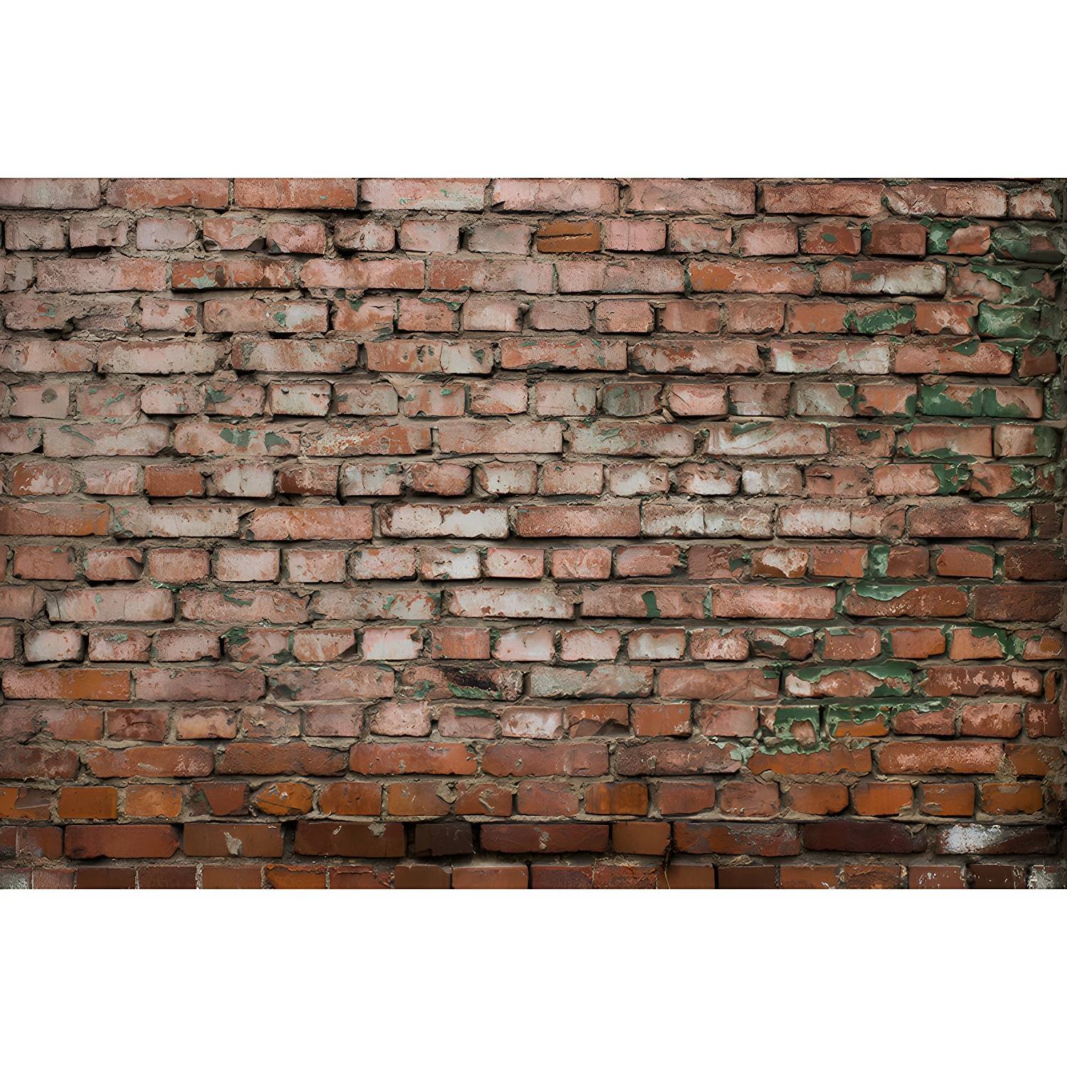 Imported image a856c6ebdbaa 3259492.jpg