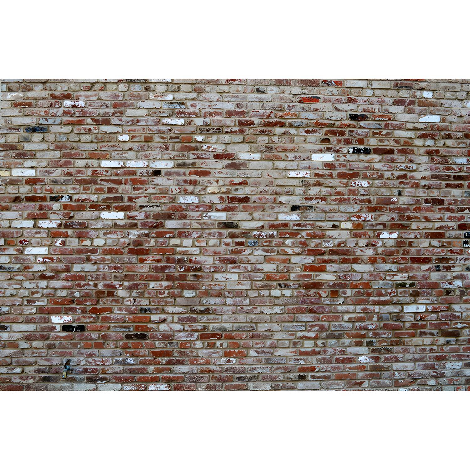 Imported image f397e0cb192b 3259498.jpg