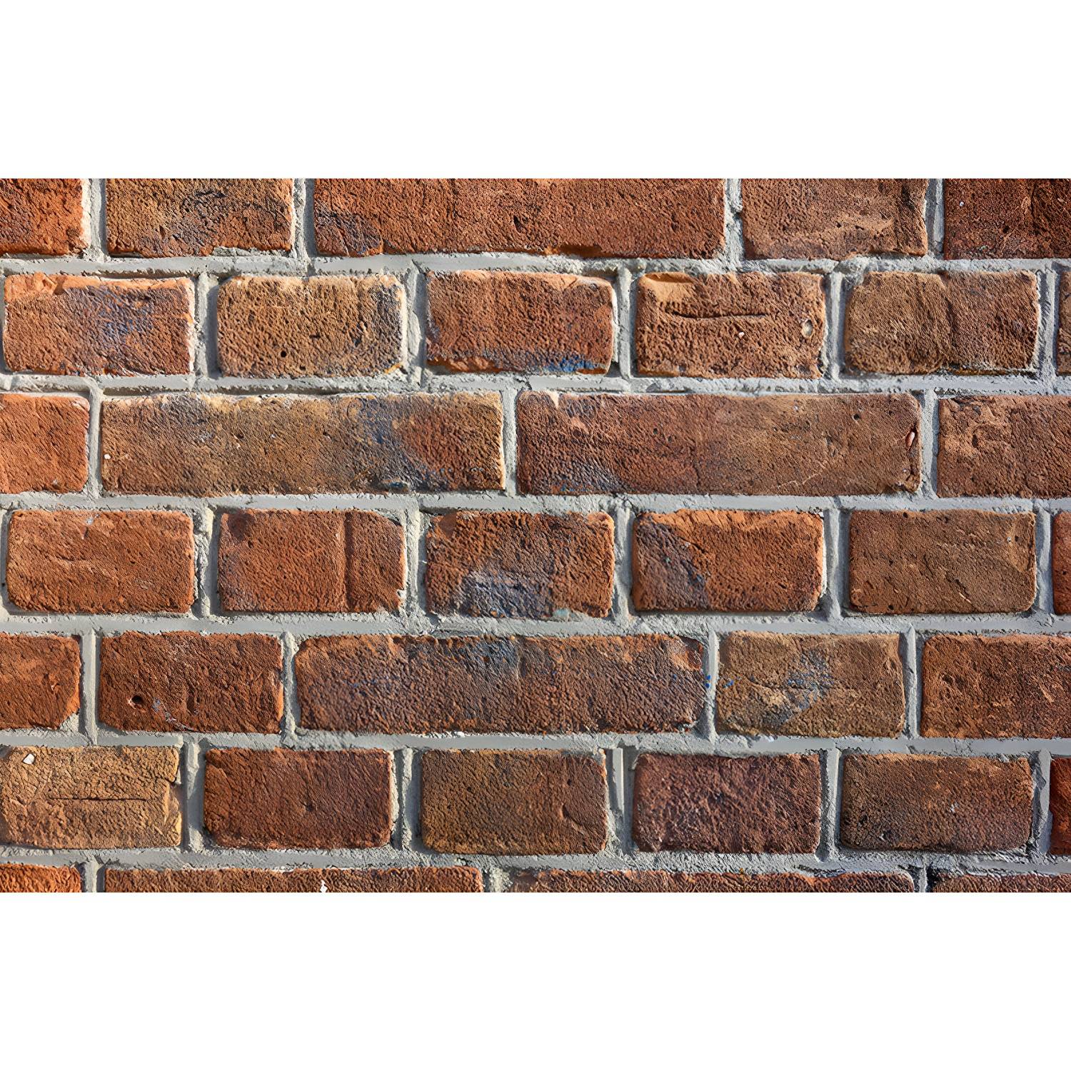 Imported image 4843d56ce9fc 3259528.jpg