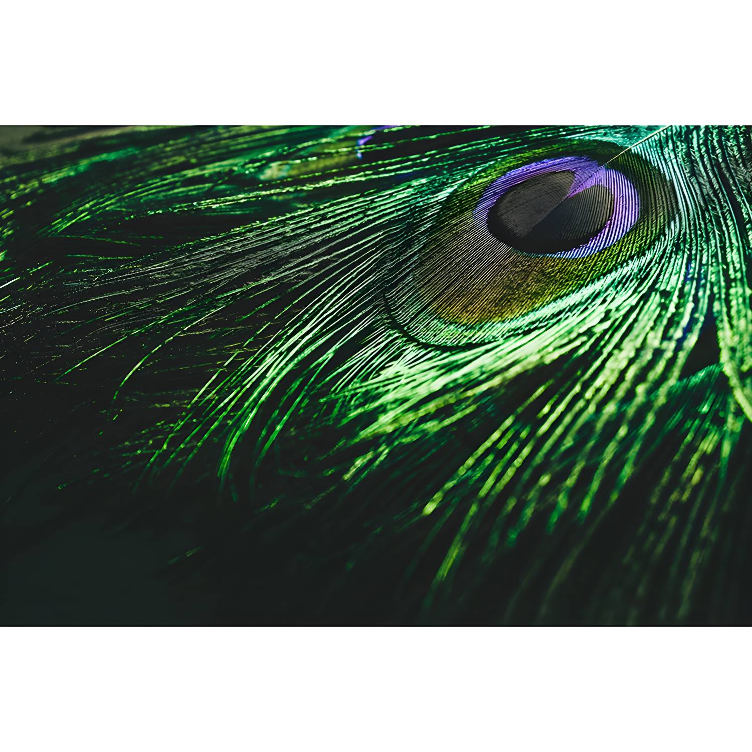 Imported image 673ef3604172 3259672.jpg