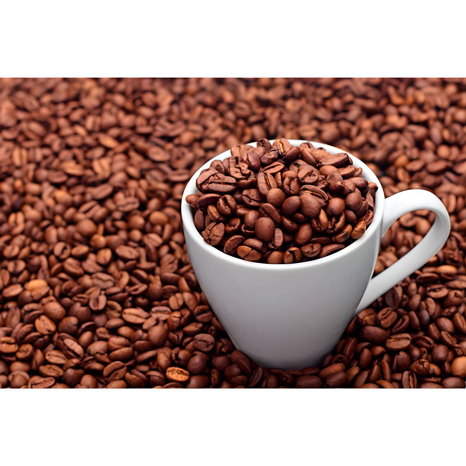 Imported image cc01eaa376ee 3259704.jpg