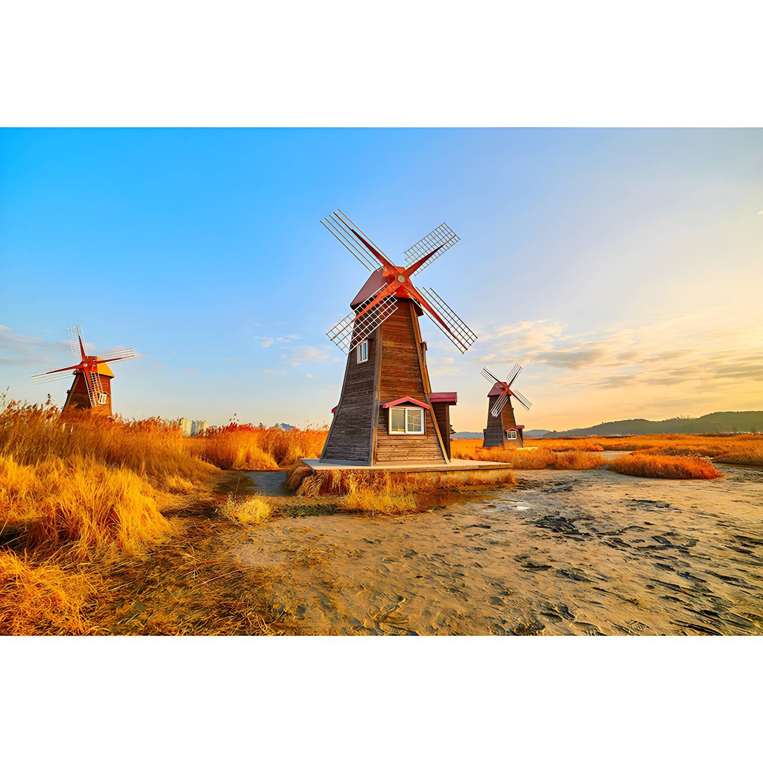 Imported image c2d69c481d97 3260010.jpg