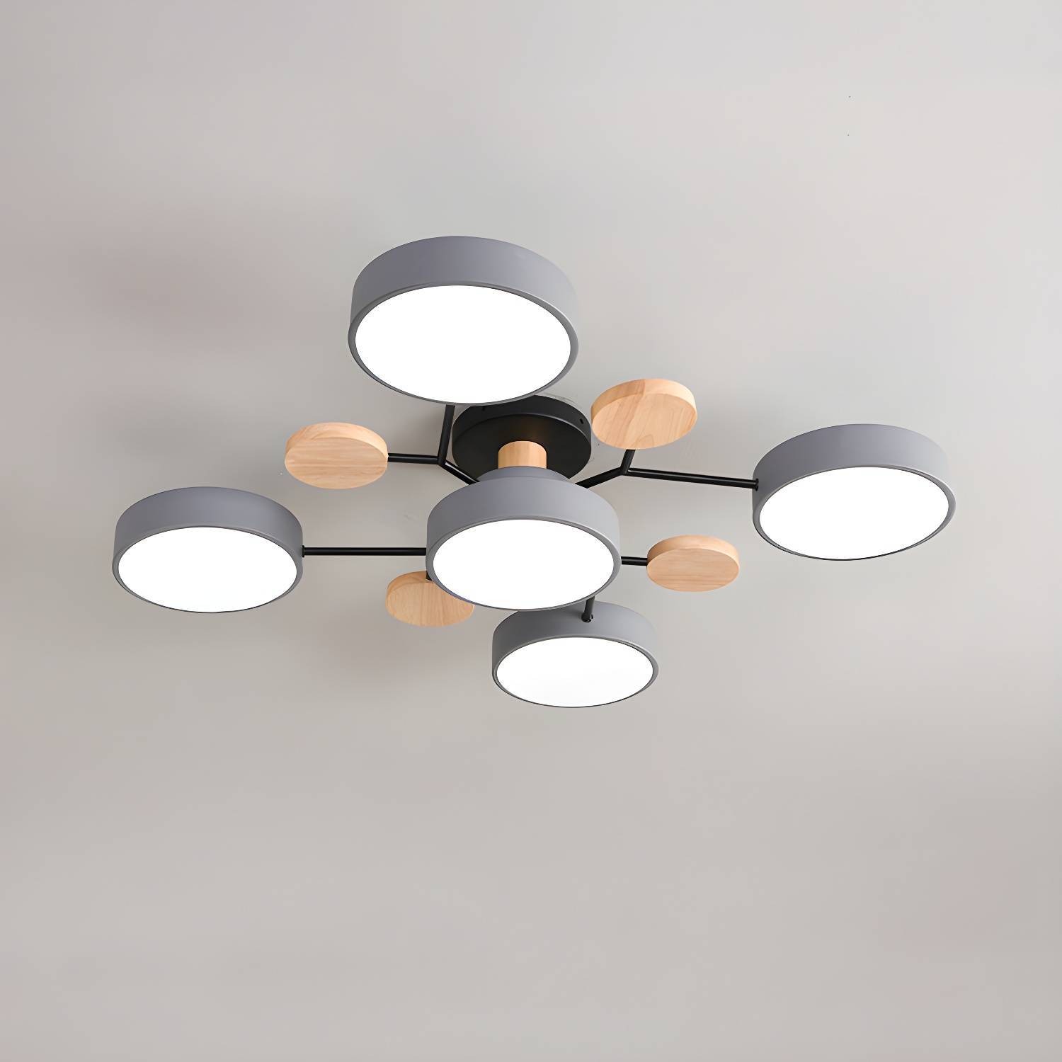 Imported image 6d4859f9280c 3265489.jpg