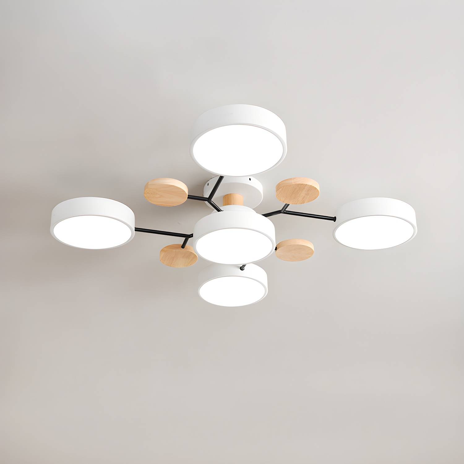 Imported image 7ad90bd2ac9d 3265497.jpg