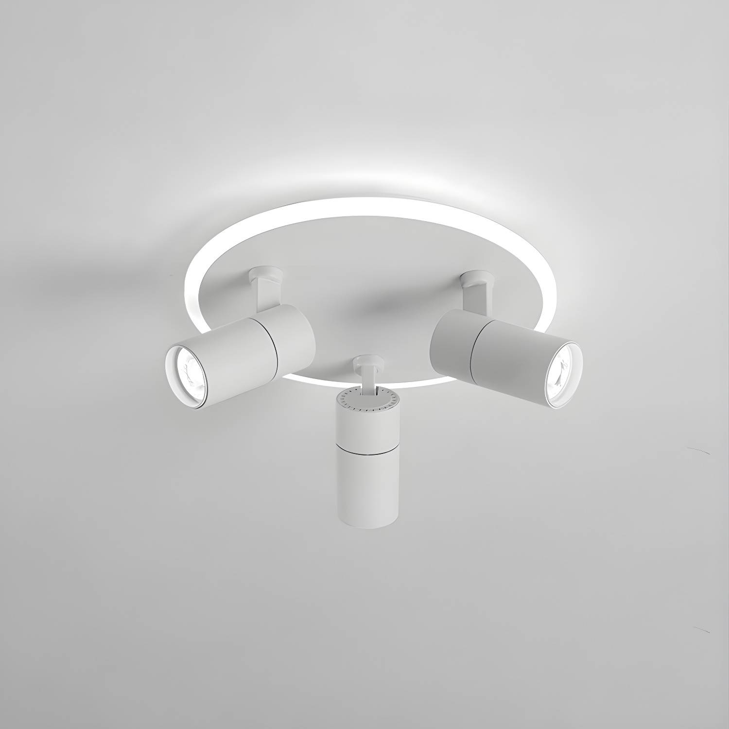 Imported image 94024acb800a 3266379.jpg