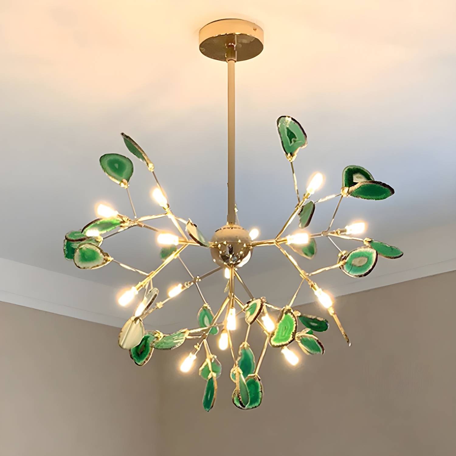 Imported image 917365abb520 3284638.jpg