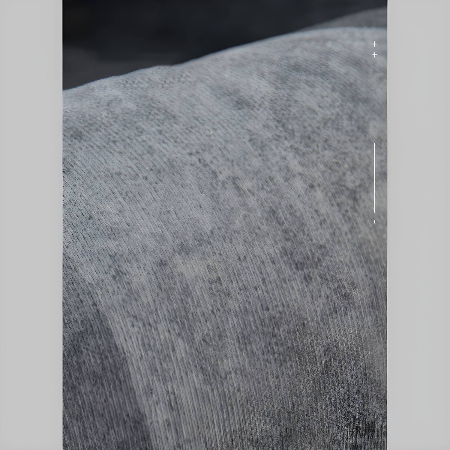 Imported image 6854161aea90 3294861.jpg
