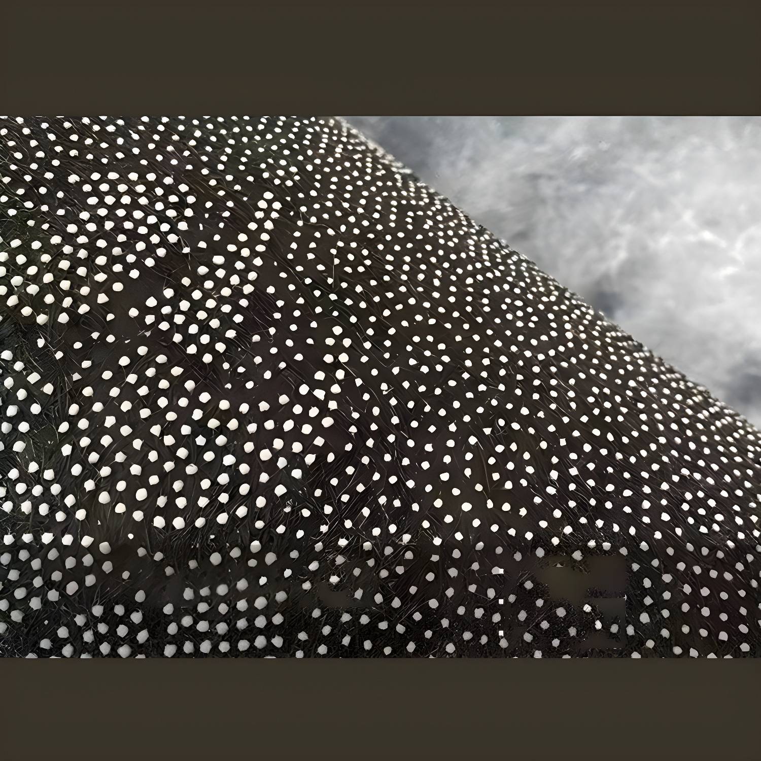 Imported image a345a66e7e56 3294886.jpg