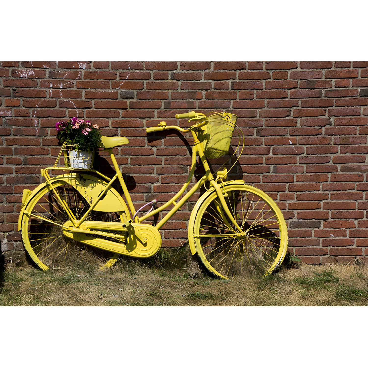 Imported image 8aa7da99571e 3311103.jpg