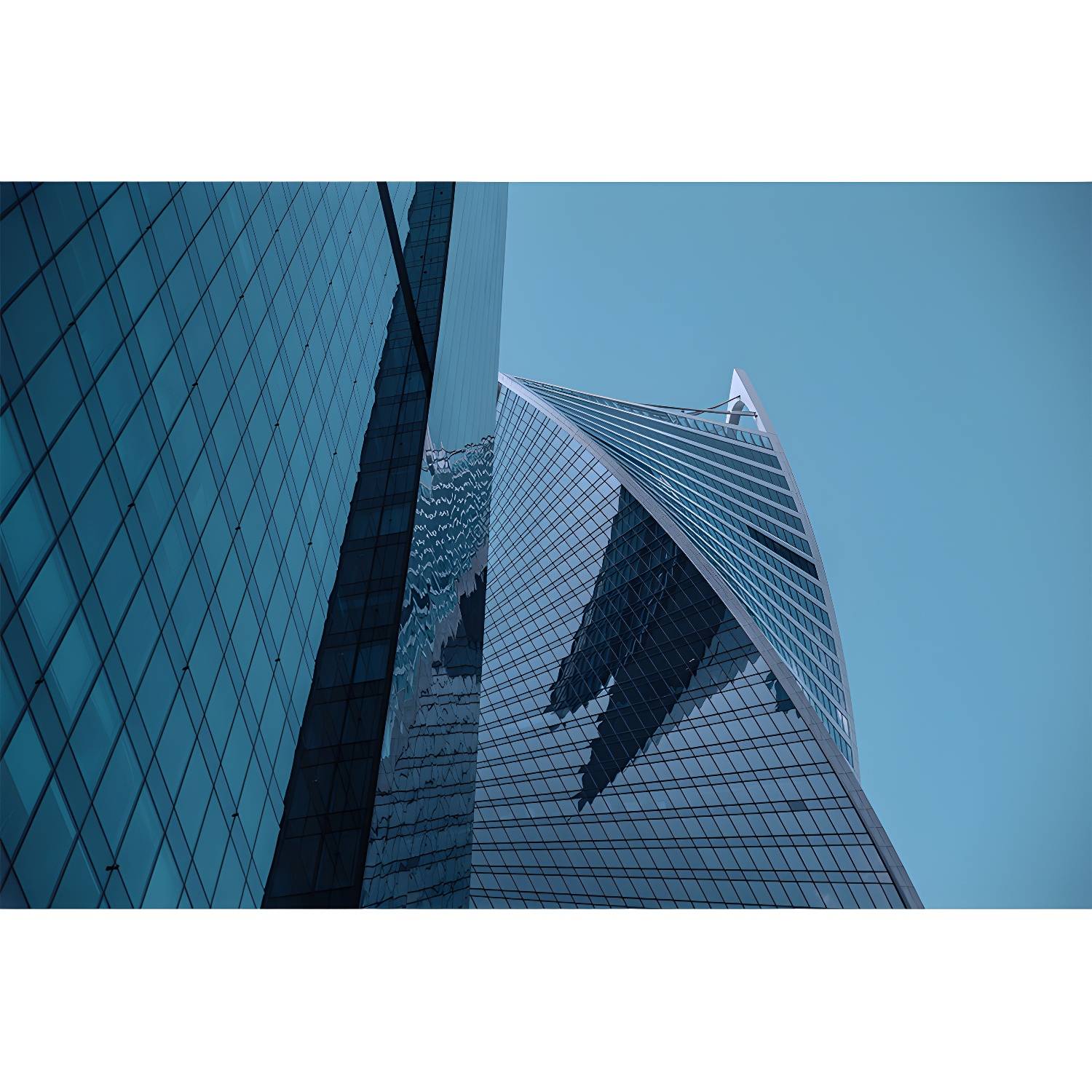 Imported image fe3d0db7d980 3311153.jpg