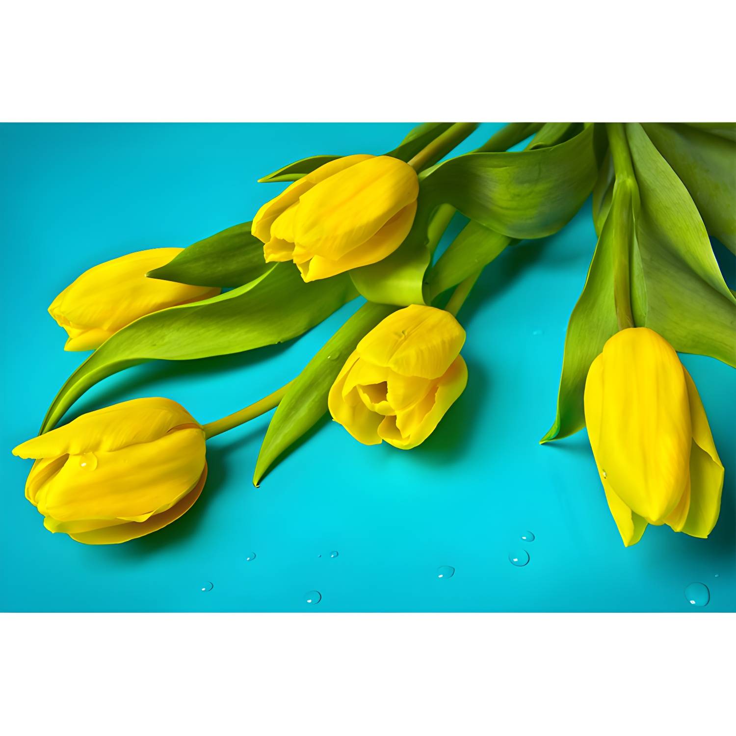 Imported image 237c17a1ea10 3311291.jpg