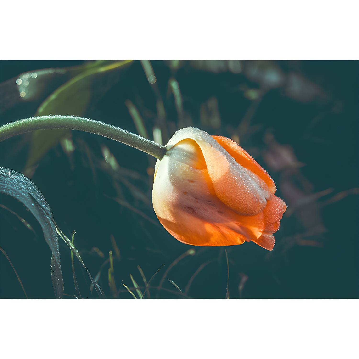 Imported image d8948ec53d76 3311297.jpg