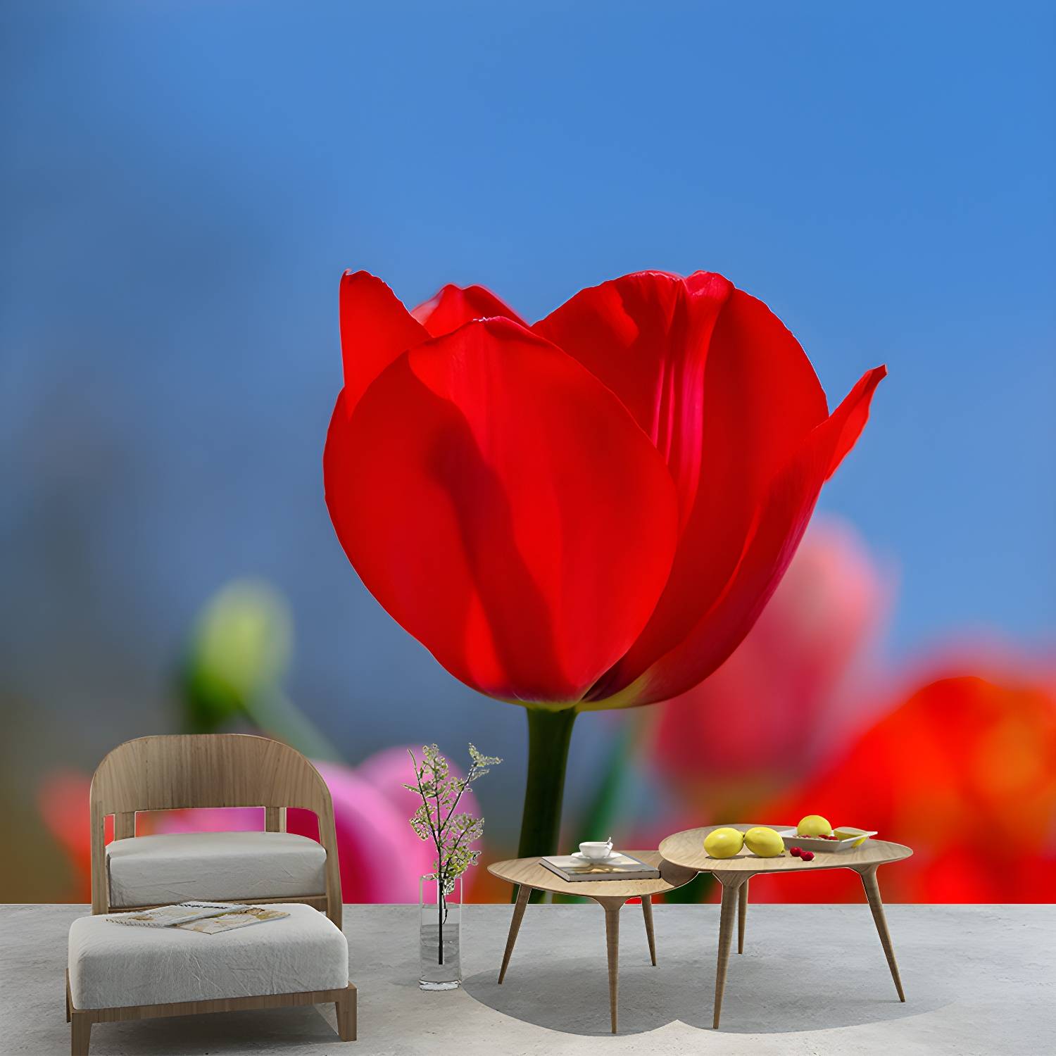Imported image 5ee3587e2e35 3311298.jpg
