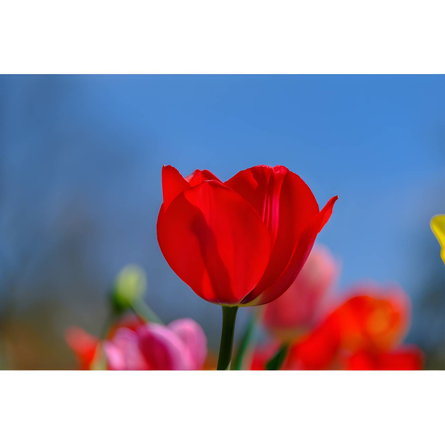 Imported image 3424d488454b 3311301.jpg
