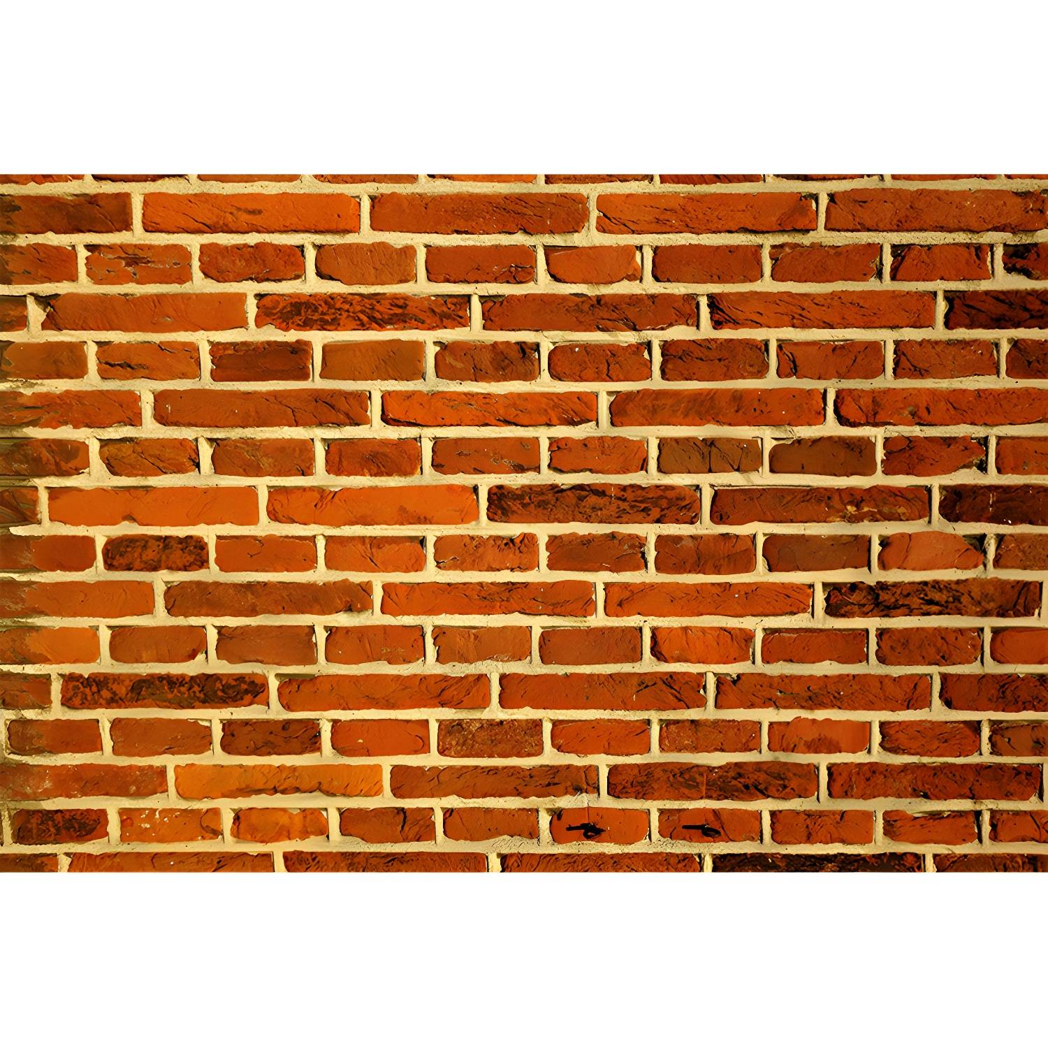 Imported image faf753bf6462 3311441.jpg