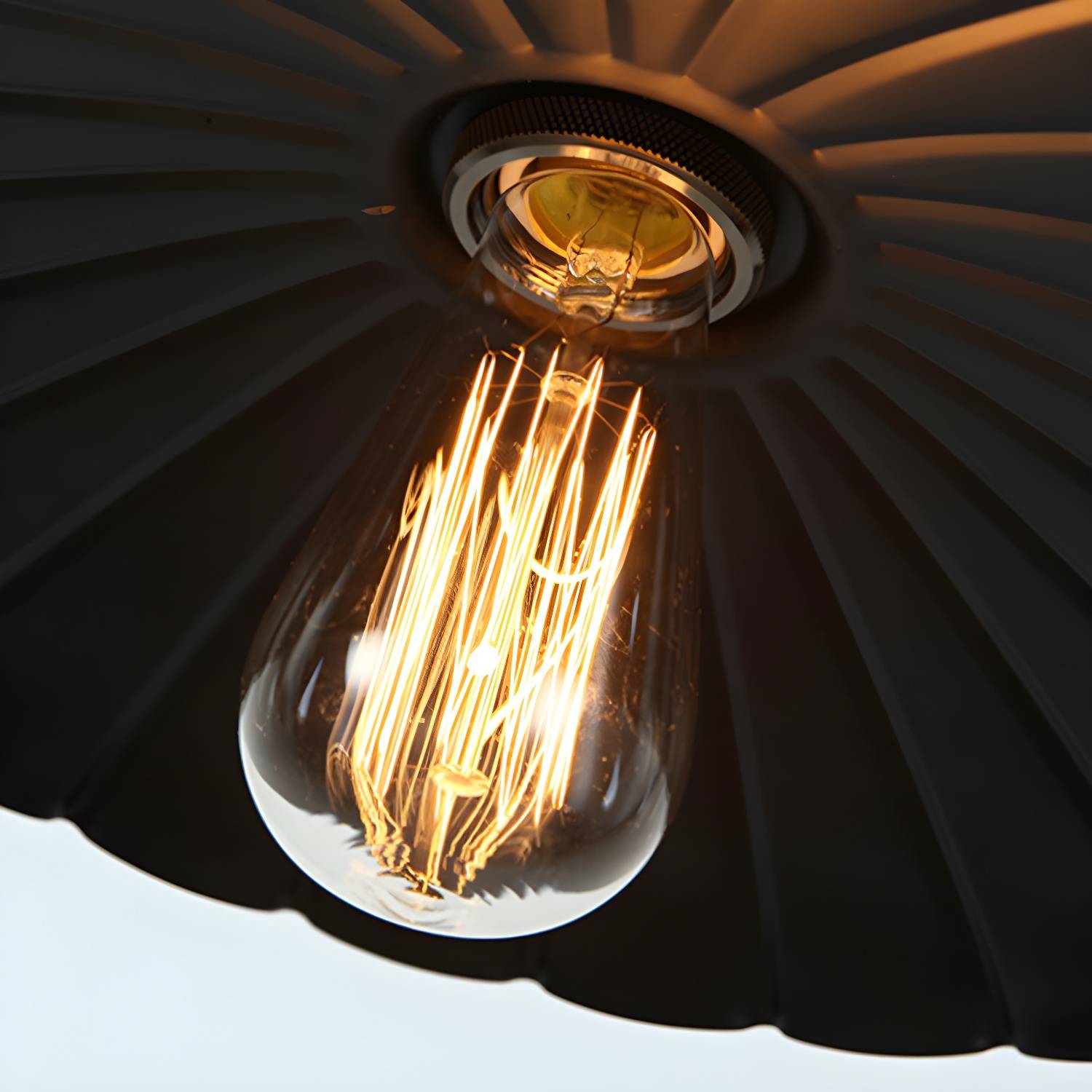 Imported image d91e6725108c 3312174.jpg
