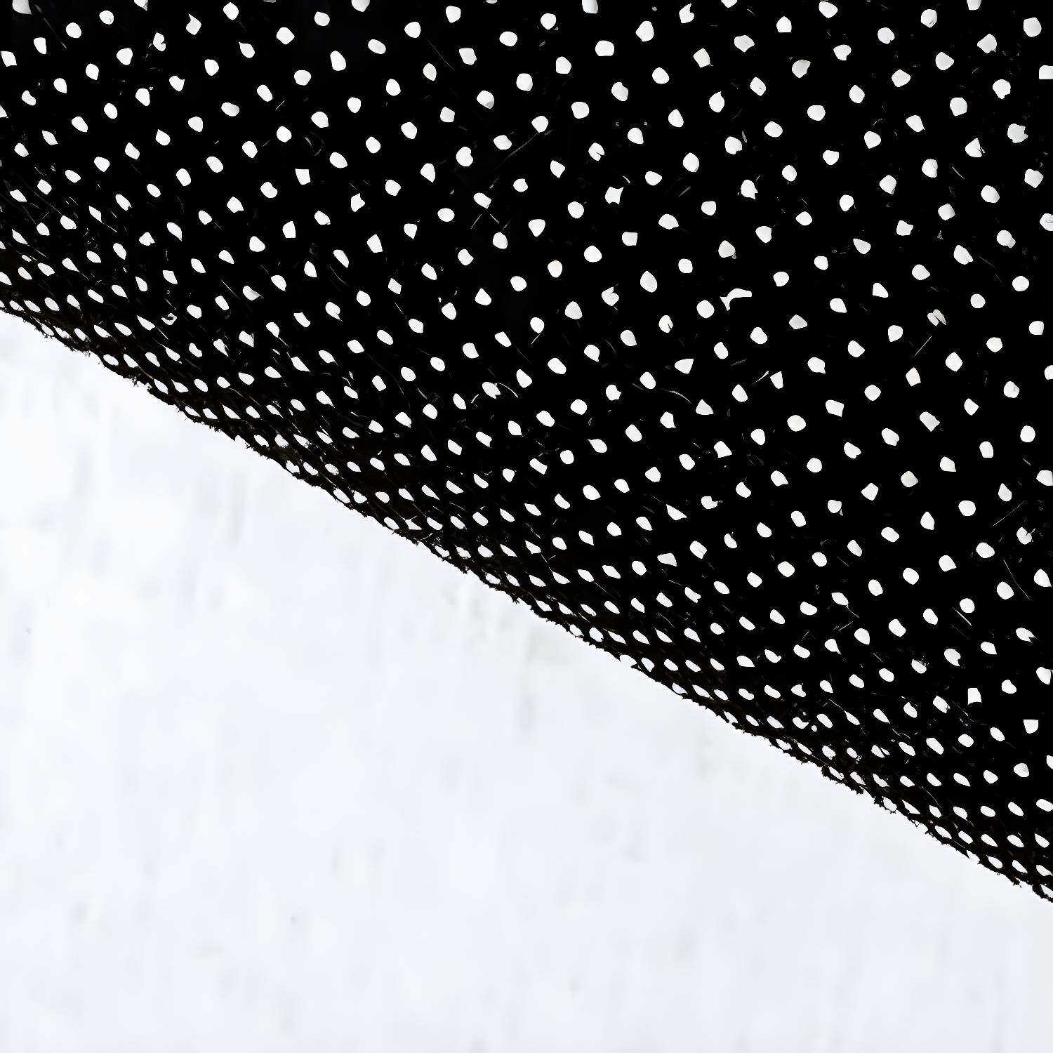 Imported image 22f70ae4143a 3312408.jpg