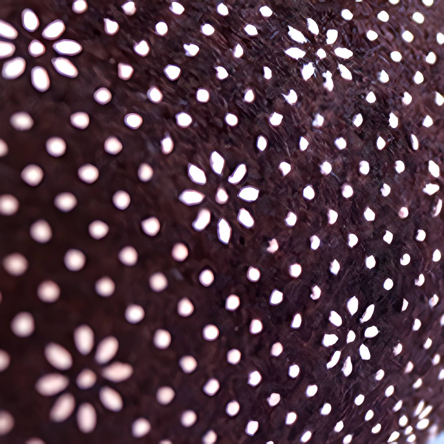 Imported image 6e6510e8eede 3312639.jpg