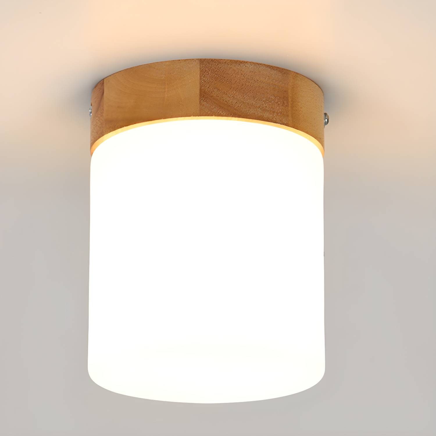 Imported image efacf7b9565e 3313187.jpg
