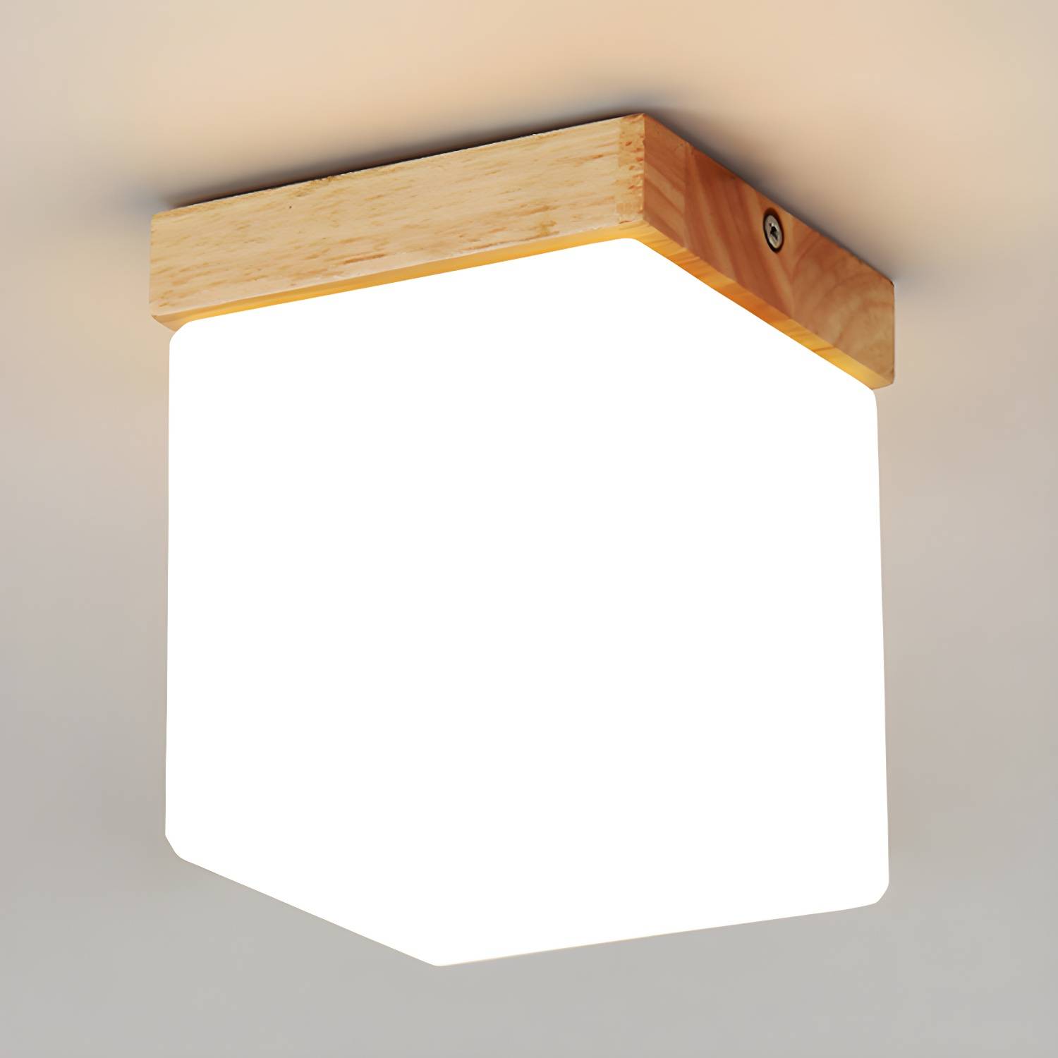 Imported image 3e9b68091cd6 3313191.jpg