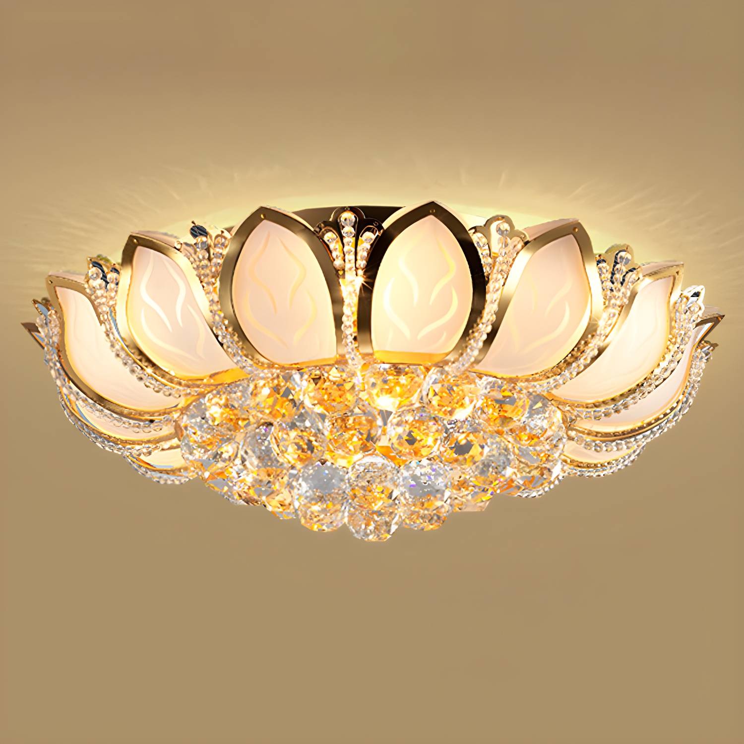 Imported image ac01e494dbec 3313207.jpg