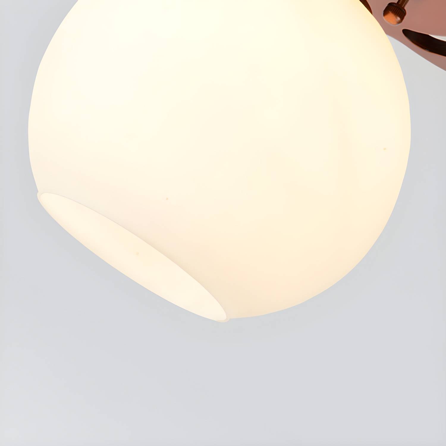 Imported image e23585793185 3317415.jpg