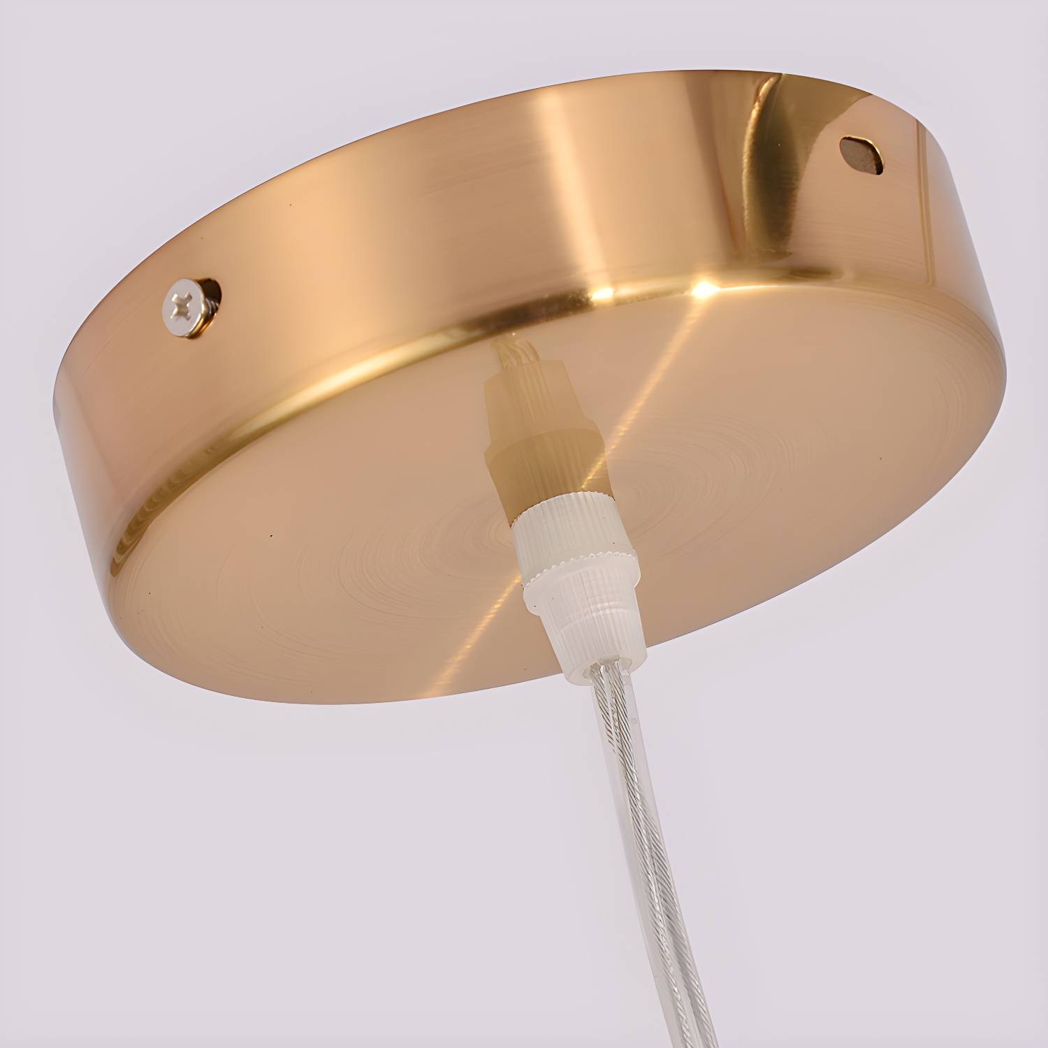 Imported image ea15504856e7 3317796.jpg