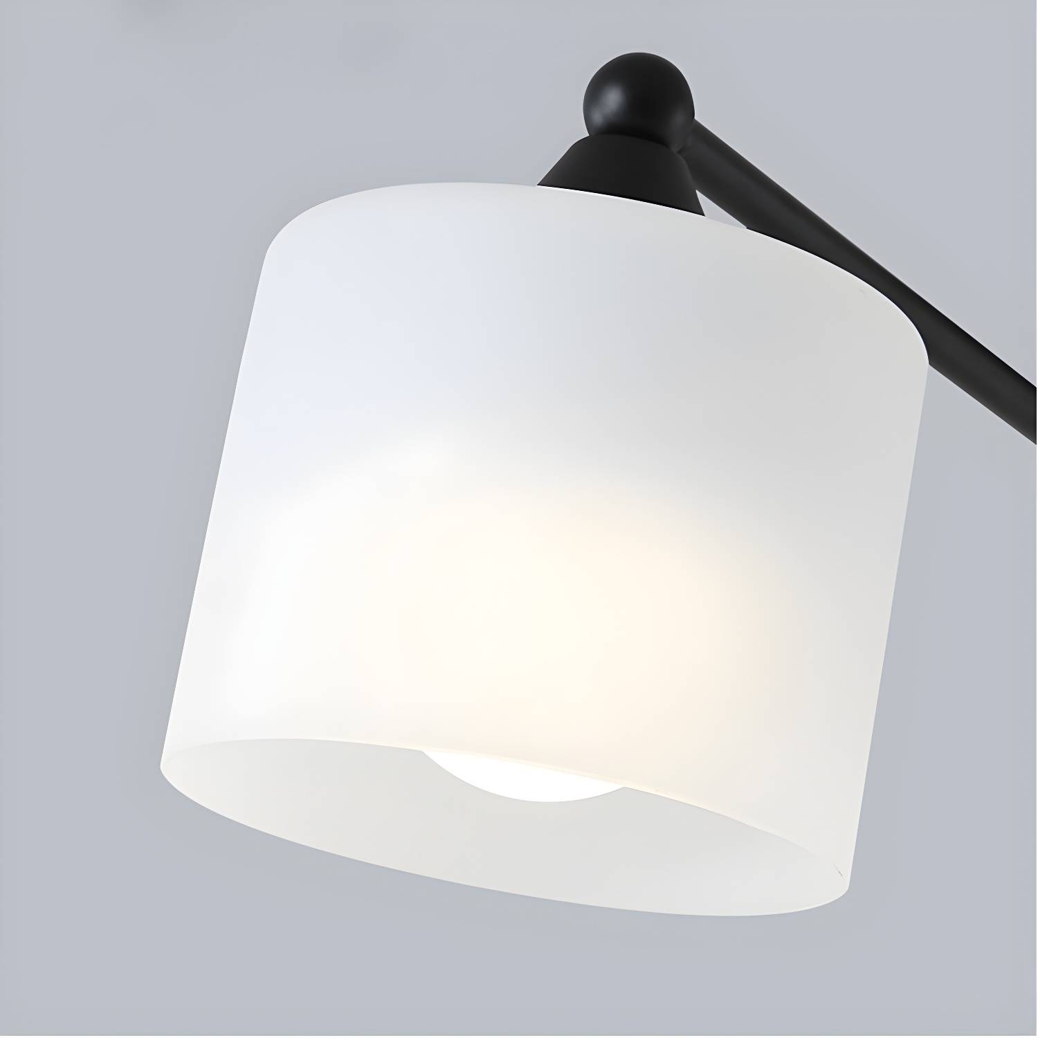 Imported image 933e9535cfbd 3318090.jpg